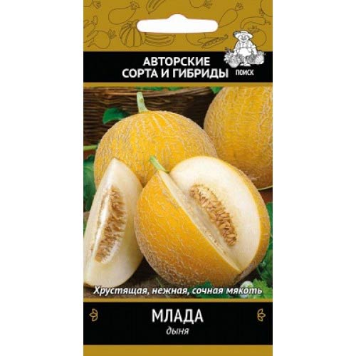 Дыня Млада Поиск изображение 1 артикул 81855