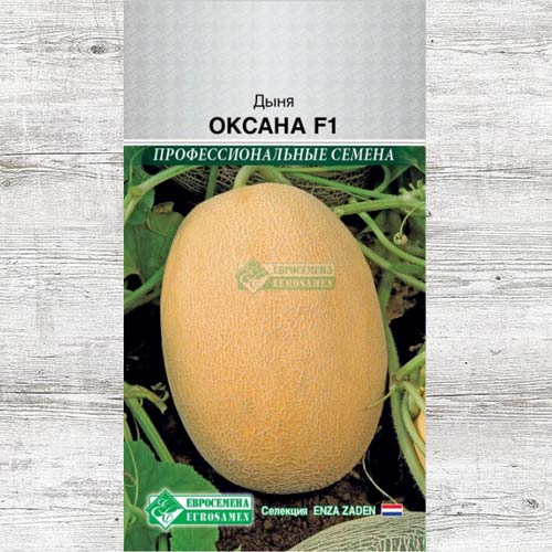 Дыня Оксана F1 изображение 1 артикул 83393