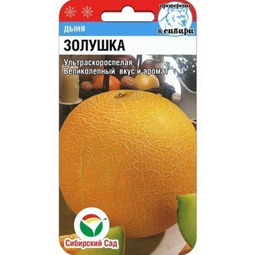 Дыня Золушка Сибирский Сад изображение 1 артикул 94333