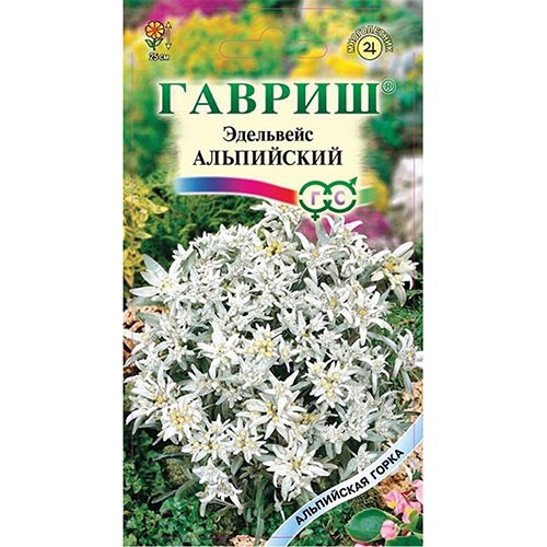 Эдельвейс Занзи, семена артикул фото 1 Эдельвейс Занзи, семена изображение 1 артикул 92278