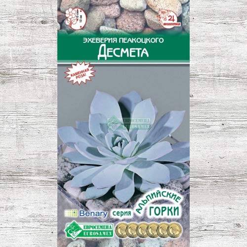 Эхеверия Пеакоцкого Десмета изображение 1 артикул 83474