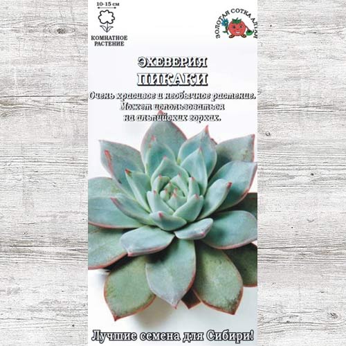 Эхеверия Пикаки артикул фото 1 Эхеверия Пикаки изображение 1 артикул 83716