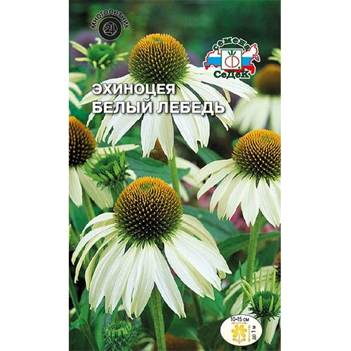 Эхинацея Белый лебедь, семена изображение 1 артикул 94022