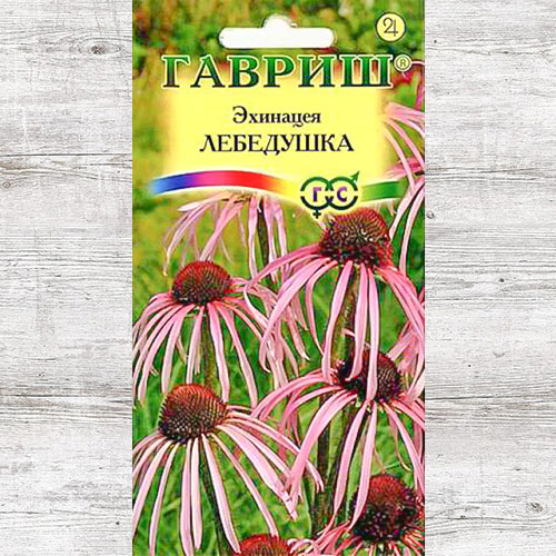 Эхинацея Лебедушка Гавриш изображение 1 артикул 73756