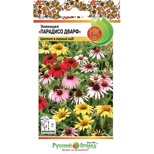 Эхинацея Парадисо Дварф, смесь окрасок изображение 1 артикул 92658
