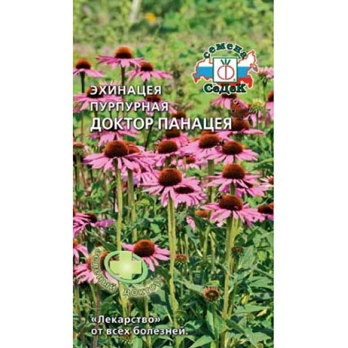 Эхинацея пурпурная Панацея, семена изображение 1 артикул 93610