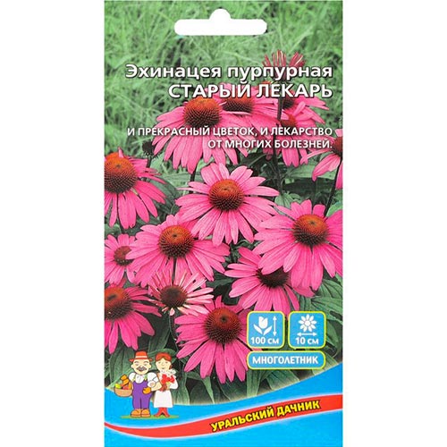 Эхинацея пурпурная Старый лекарь, семена изображение 1 артикул 94754