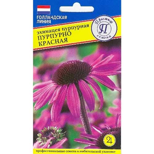 Эхинацея Пурпурно-красная Престиж изображение 1 артикул 84580