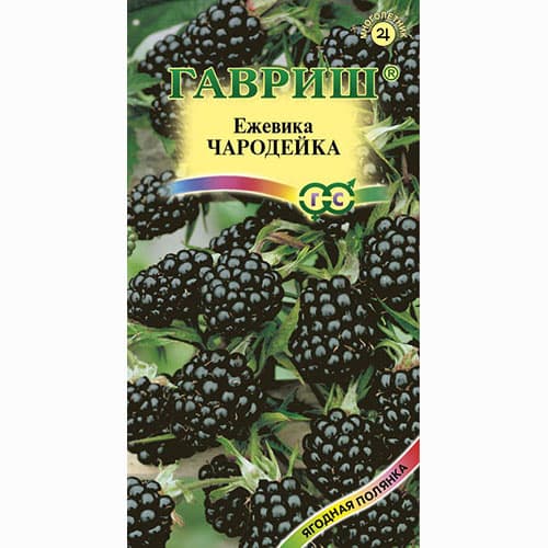 Ежевика Чародейка Гавриш изображение 1 артикул 65229