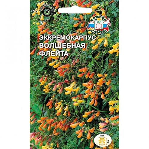 Эккремокарпус Волшебная флейта, смесь окрасок изображение 1 артикул 94018