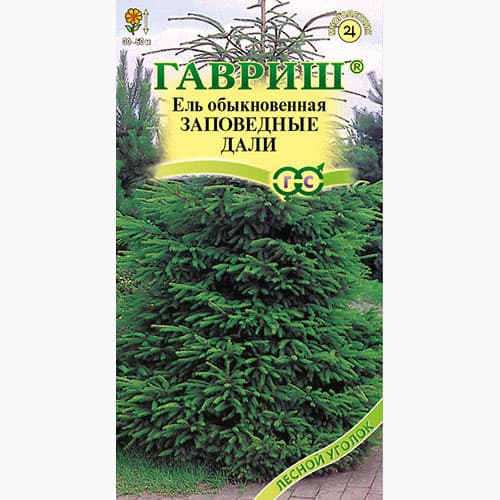 Ель обыкновенная Заповедные дали Гавриш артикул фото 1 Ель обыкновенная Заповедные дали Гавриш изображение 1 артикул 97683