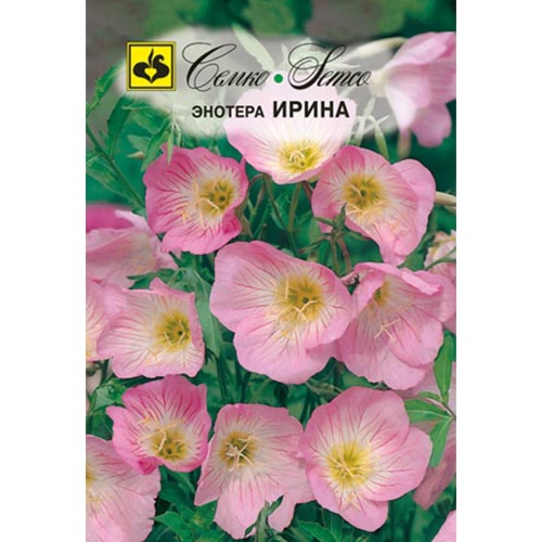 Энотера Ирина, семена изображение 1 артикул 94302