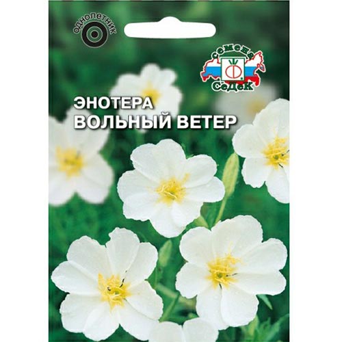 Энотера Вольный ветер, семена изображение 1 артикул 94019