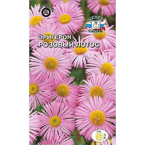 Эригерон, семена изображение 1 артикул 94021
