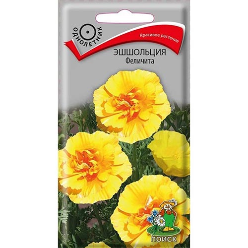 Эшшольция Феличита, семена изображение 1 артикул 93180