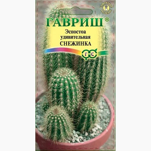 Эспостоа (кактус) шерстистая Снежинка Гавриш изображение 1 артикул 97832