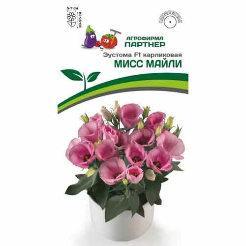 Эустома карликовая Мисс Майли F1 Партнер изображение 1 артикул 97259