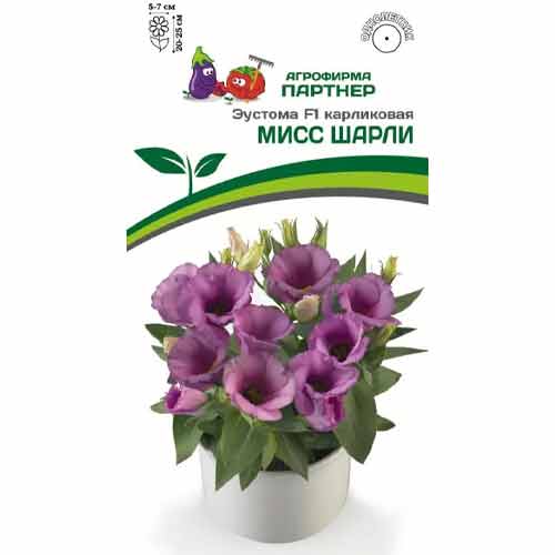 Эустома карликовая Мисс Шарли F1 Партнер артикул фото 1 Эустома карликовая Мисс Шарли F1 Партнер изображение 1 артикул 97261