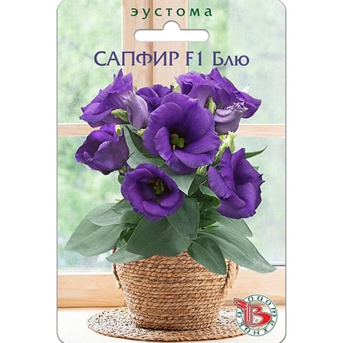 Эустома (лизиантус) горшечная Сапфир Блю F1, семена изображение 1 артикул 91613