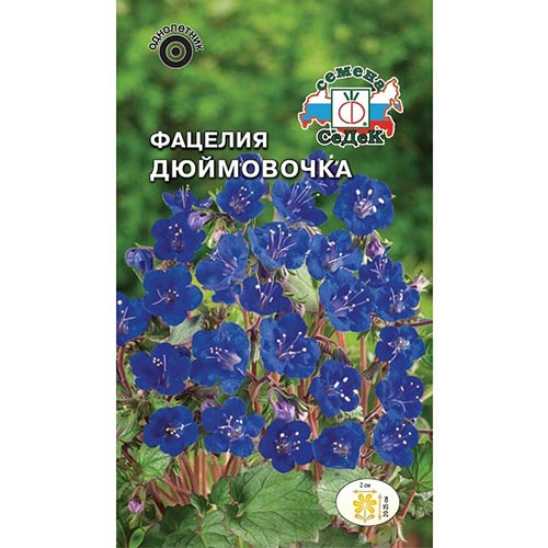 Фацелия Дюймовочка, семена изображение 1 артикул 93988