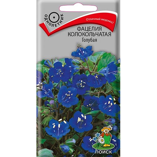 Фацелия Голубая, семена изображение 1 артикул 93134