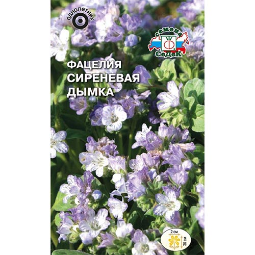 Фацелия Сиреневая дымка, семена изображение 1 артикул 93989