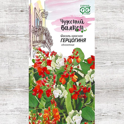 Фасоль декоративная Герцогиня Гавриш изображение 1 артикул 73913