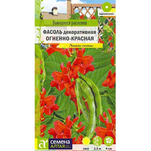 Фасоль декоративная Огненно-красная Семена Алтая изображение 1 артикул 84774