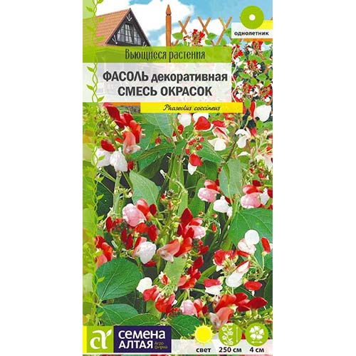 Фасоль декоративная Вьющаяся, смесь окрасок Семена Алтая артикул фото 1 Фасоль декоративная Вьющаяся, смесь окрасок Семена Алтая изображение 1 артикул 84775