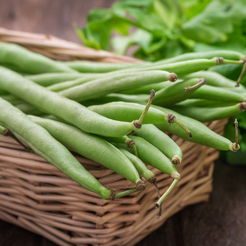 Фасоль спаржевая Гирлянда Premium Seeds артикул фото 1 Фасоль спаржевая Гирлянда Premium Seeds изображение 1 артикул 83876