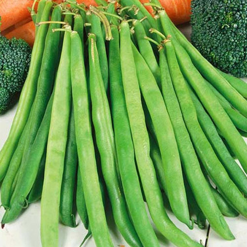 Фасоль спаржевая Купчиха Premium Seeds артикул фото 1 Фасоль спаржевая Купчиха Premium Seeds изображение 1 артикул 83878