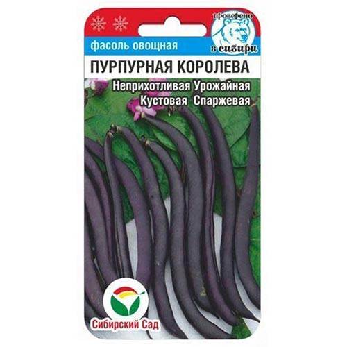 Фасоль спаржевая Пурпурная Королева Сибирский сад изображение 1 артикул 94424