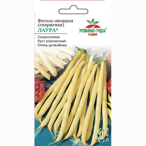 Фасоль спаржевая Лаура Седек изображение 1 артикул 82524
