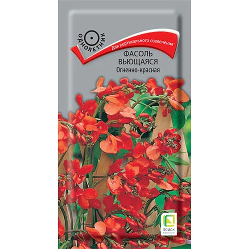 Фасоль вьющаяся Огненно-красная, смесь окрасок изображение 1 артикул 92713
