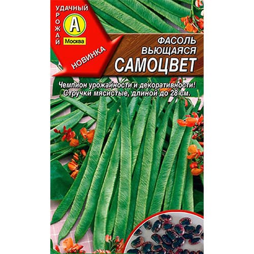 Фасоль вьющаяся Самоцвет Аэлита изображение 1 артикул 98784