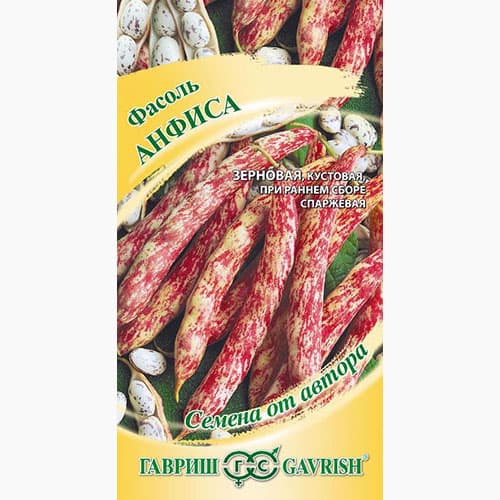 Фасоль зерновая Анфиса Гавриш изображение 1 артикул 97557