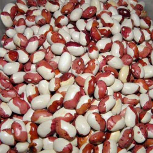 Фасоль зерновая Попугай Сибирский Сад изображение 1 артикул 97150