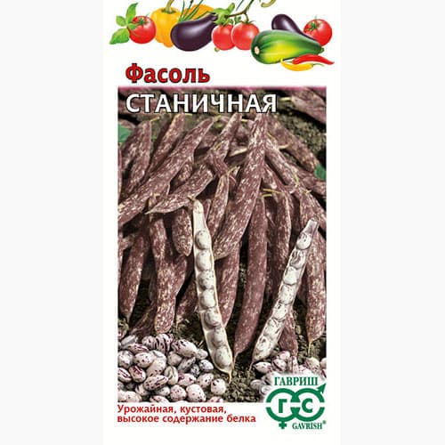 Фасоль зерновая Станичная Гавриш изображение 1 артикул 97560