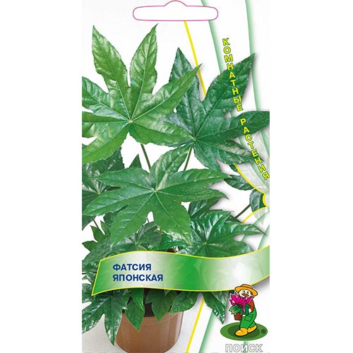 Фатсия японская, семена артикул фото 1 Фатсия японская, семена изображение 1 артикул 93133