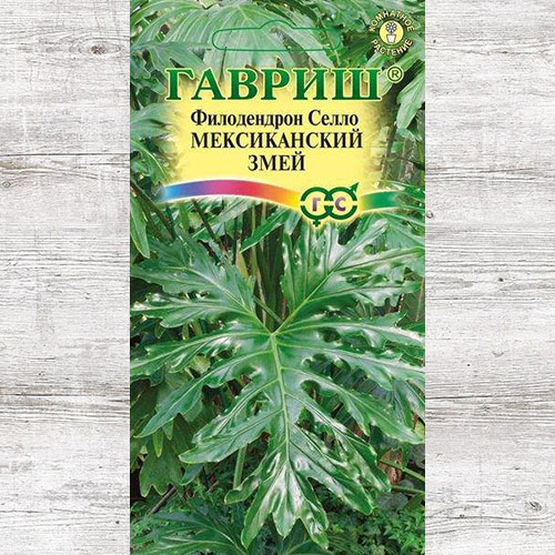 Филодендрон Селло Мексиканский змей Гавриш изображение 1 артикул 66144