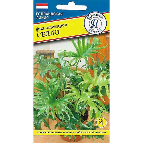 Филодендрон Селло Престиж изображение 1 артикул 85448