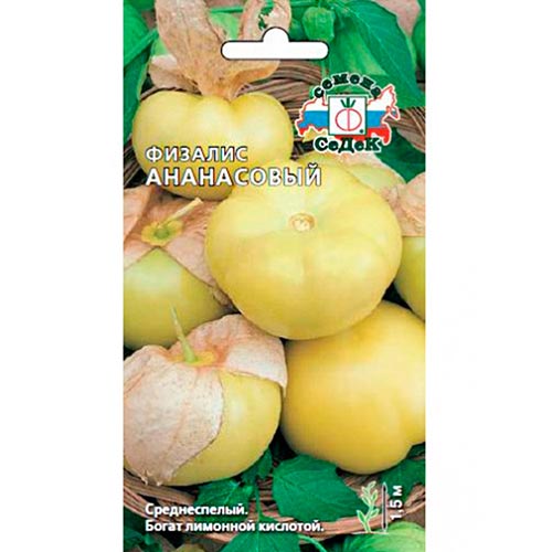 Физалис овощной Ананасовый, семена изображение 1 артикул 93602