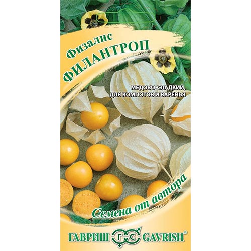 Физалис овощной Филантроп, семена изображение 1 артикул 91871