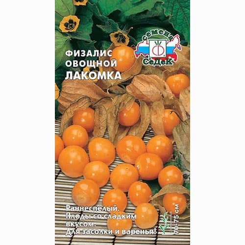 Физалис овощной Лакомка Седек изображение 1 артикул 82531