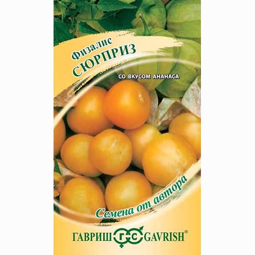 Физалис овощной Сюрприз Гавриш изображение 1 артикул 91870