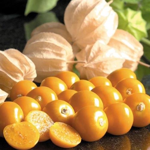 Физалис сахарный Изюмчик изображение 3 артикул 65369