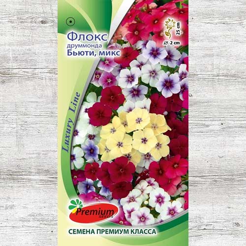 Флокс Друммонда Бьюти, смесь окрасок изображение 1 артикул 83967