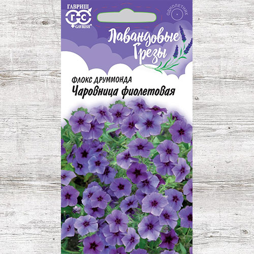 Флокс Друммонда Чаровница фиолетовая Гавриш изображение 1 артикул 74961