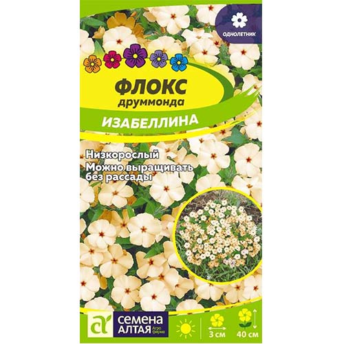 Флокс Друммонда Изабеллина Семена Алтая изображение 1 артикул 78172