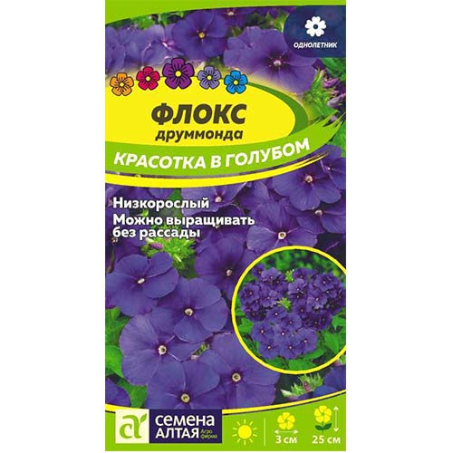 Флокс Друммонда Красотка в голубом Семена Алтая изображение 1 артикул 81800